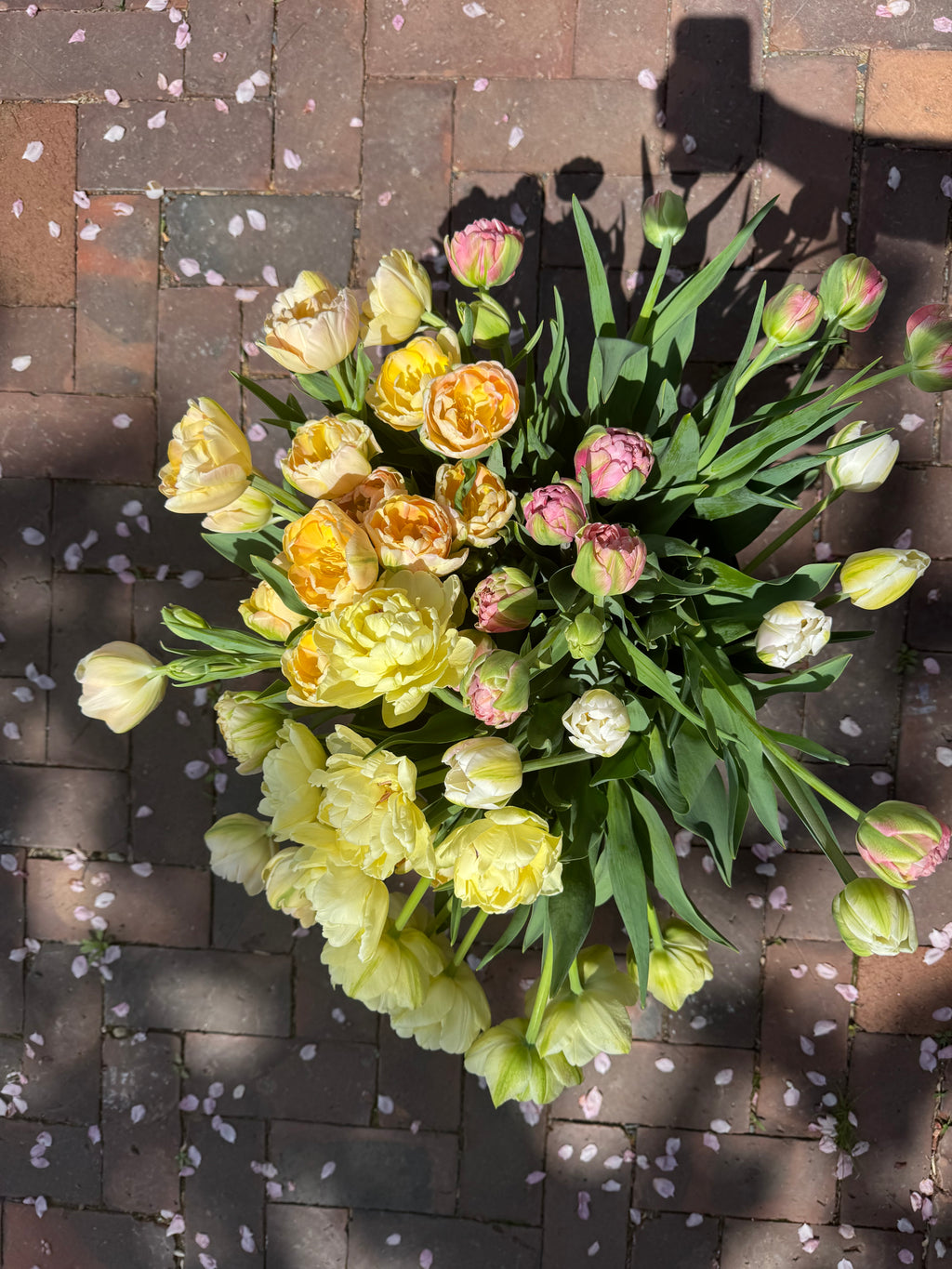Bulk Flower Bucket