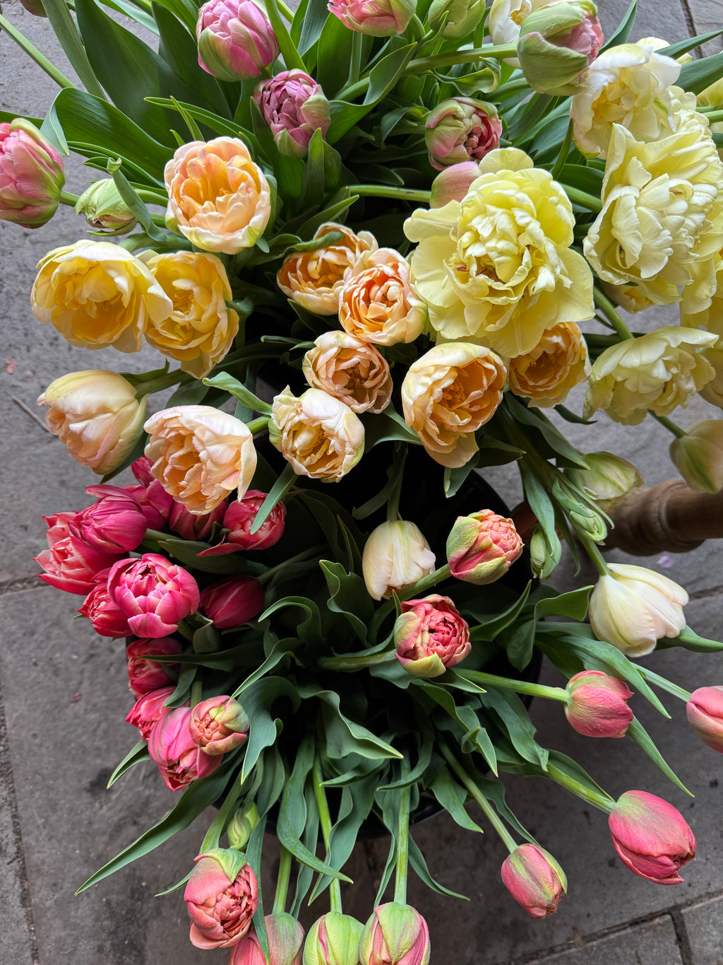 Bulk Flower Bucket