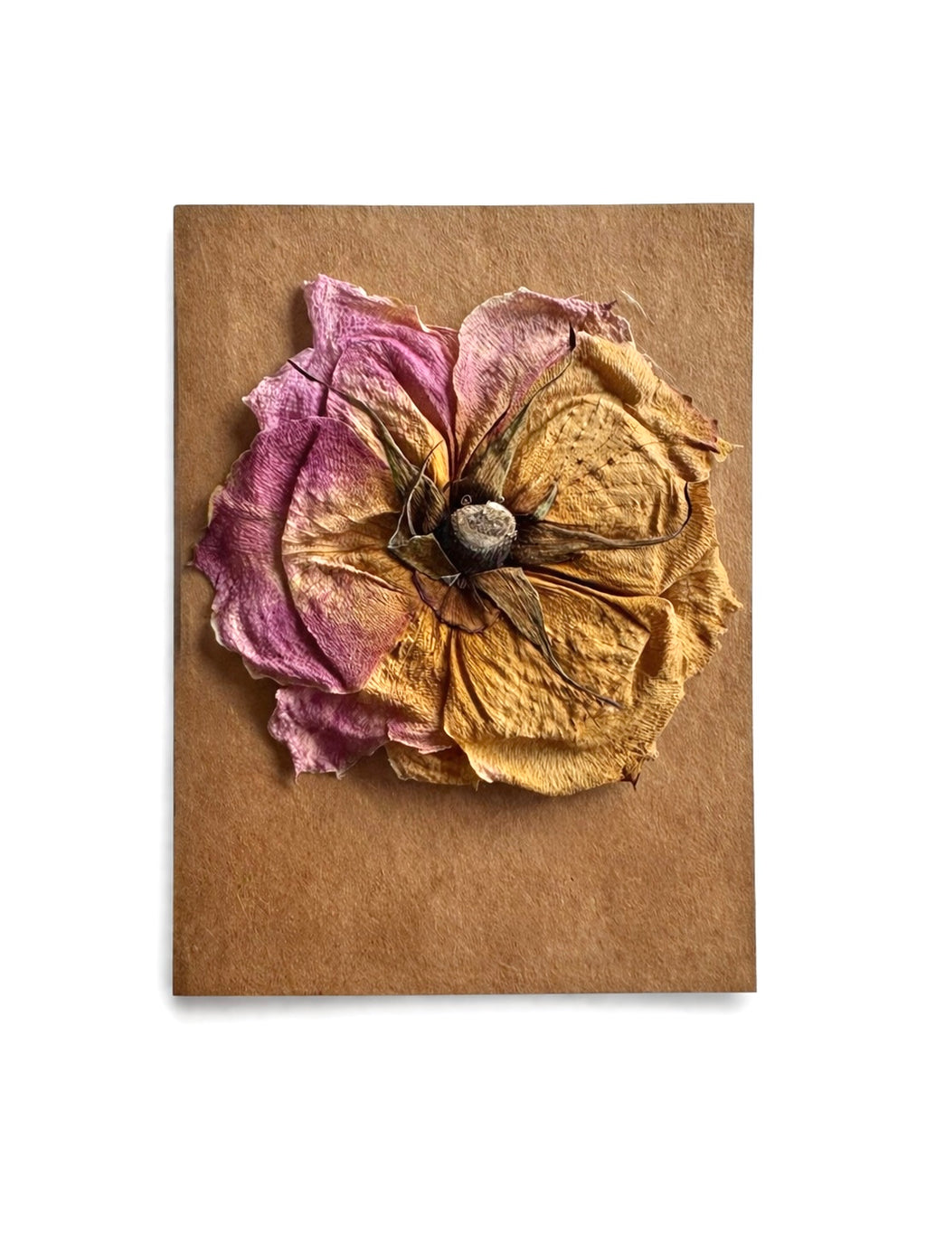 Blank Card