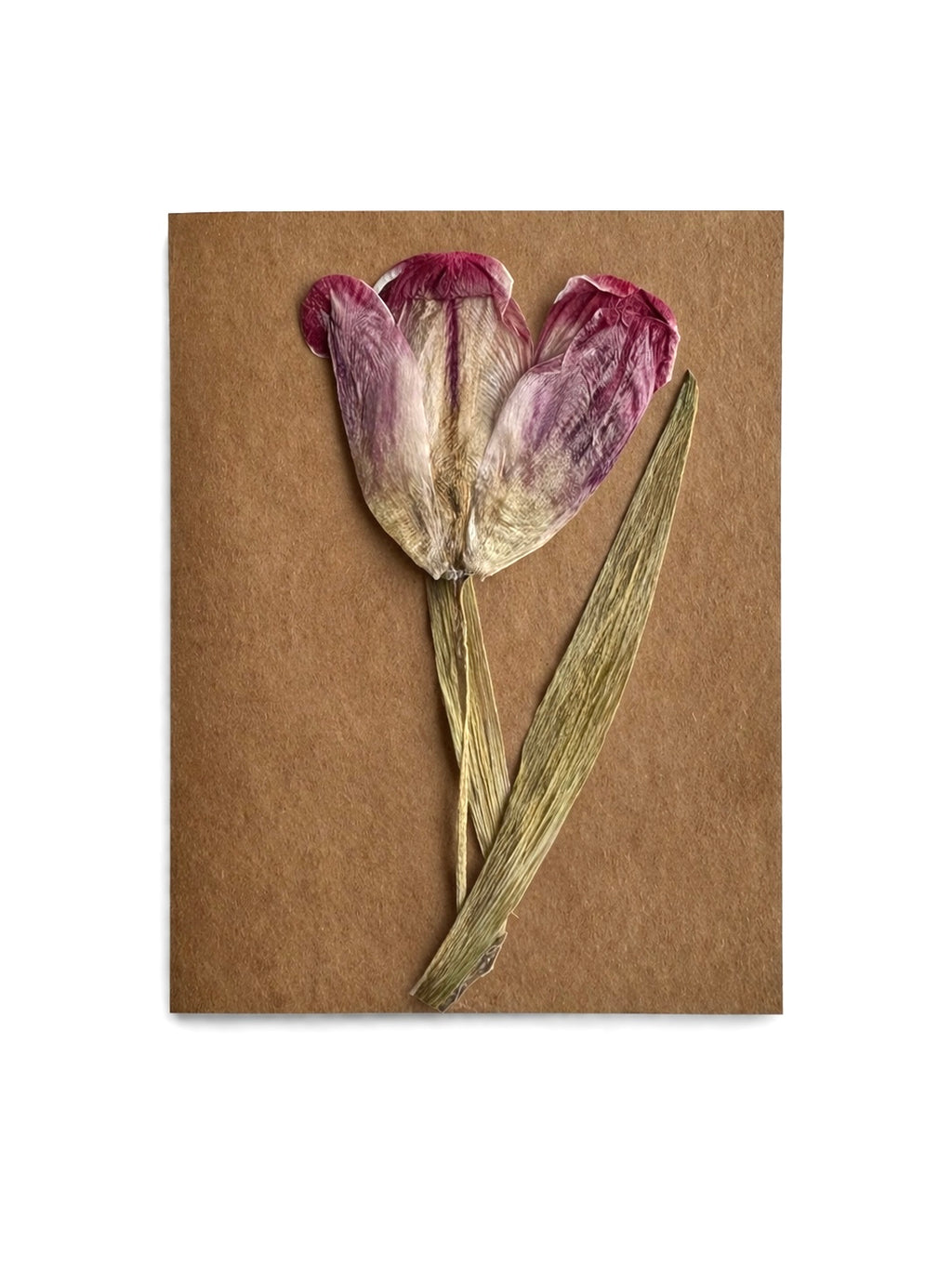 Blank Card