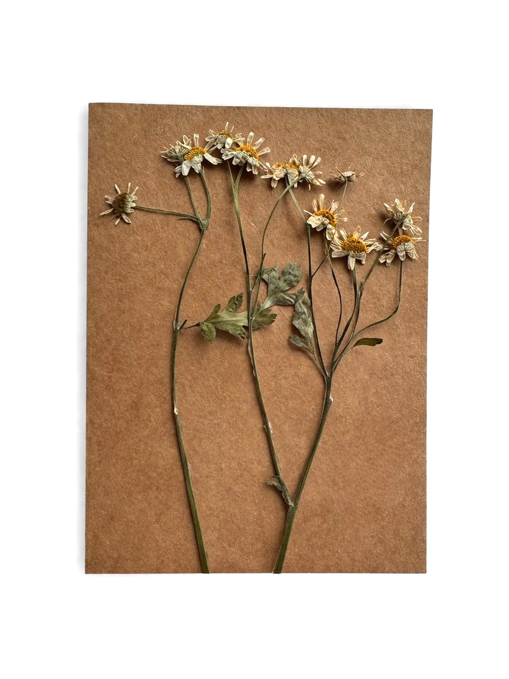 Blank Card