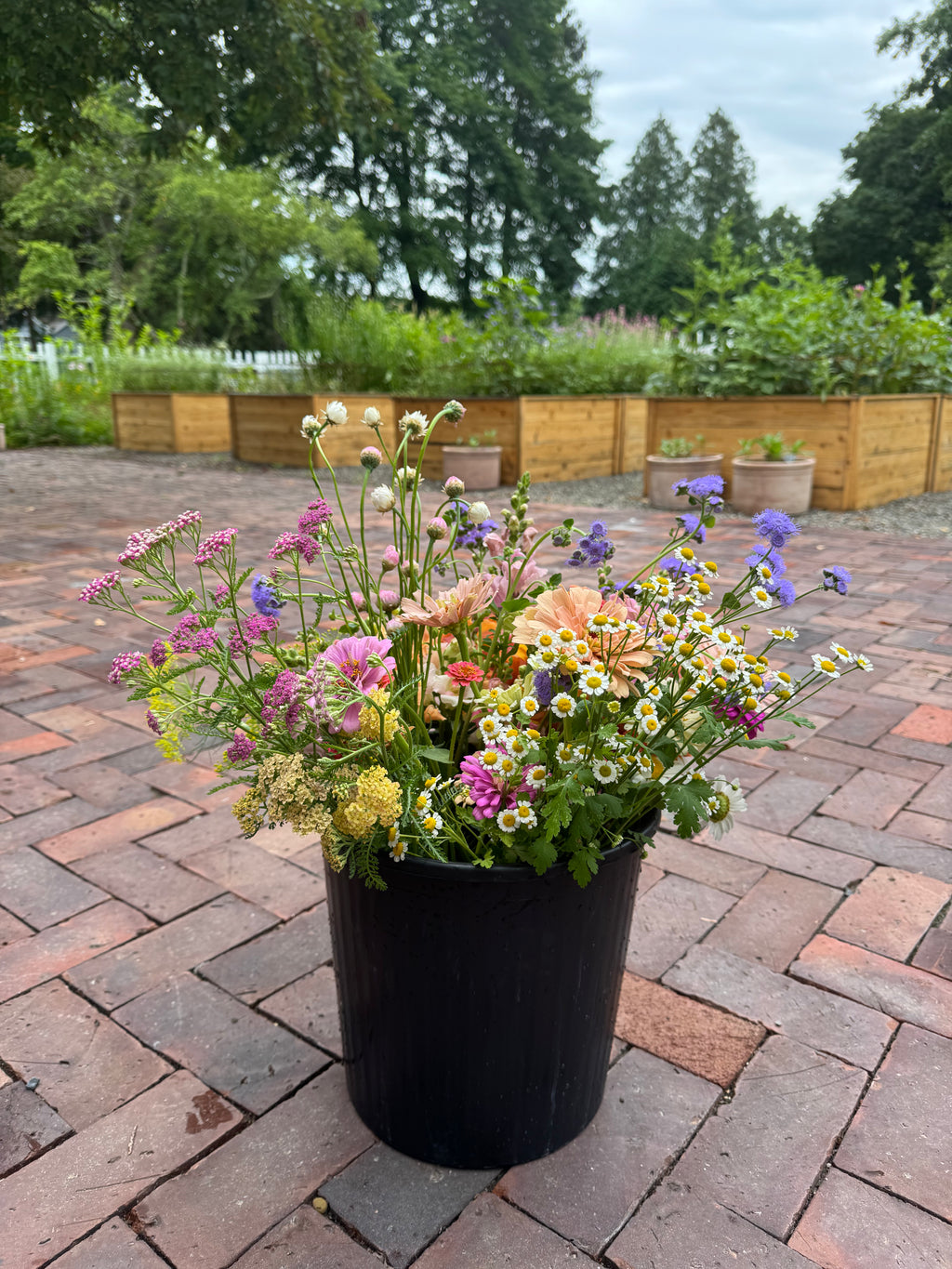 Bulk Flower Bucket