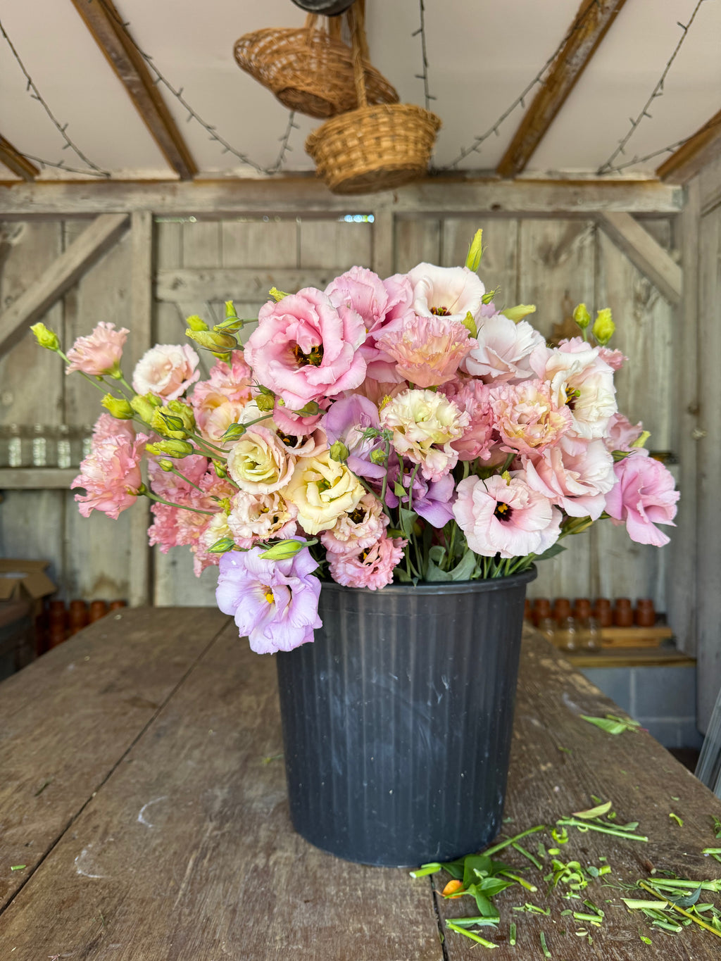 Bulk Flower Bucket