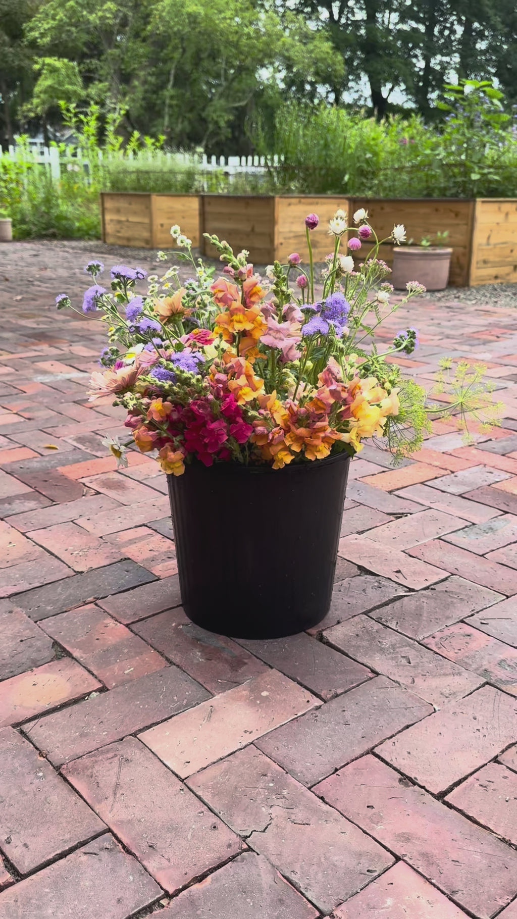 Bulk Flower Bucket