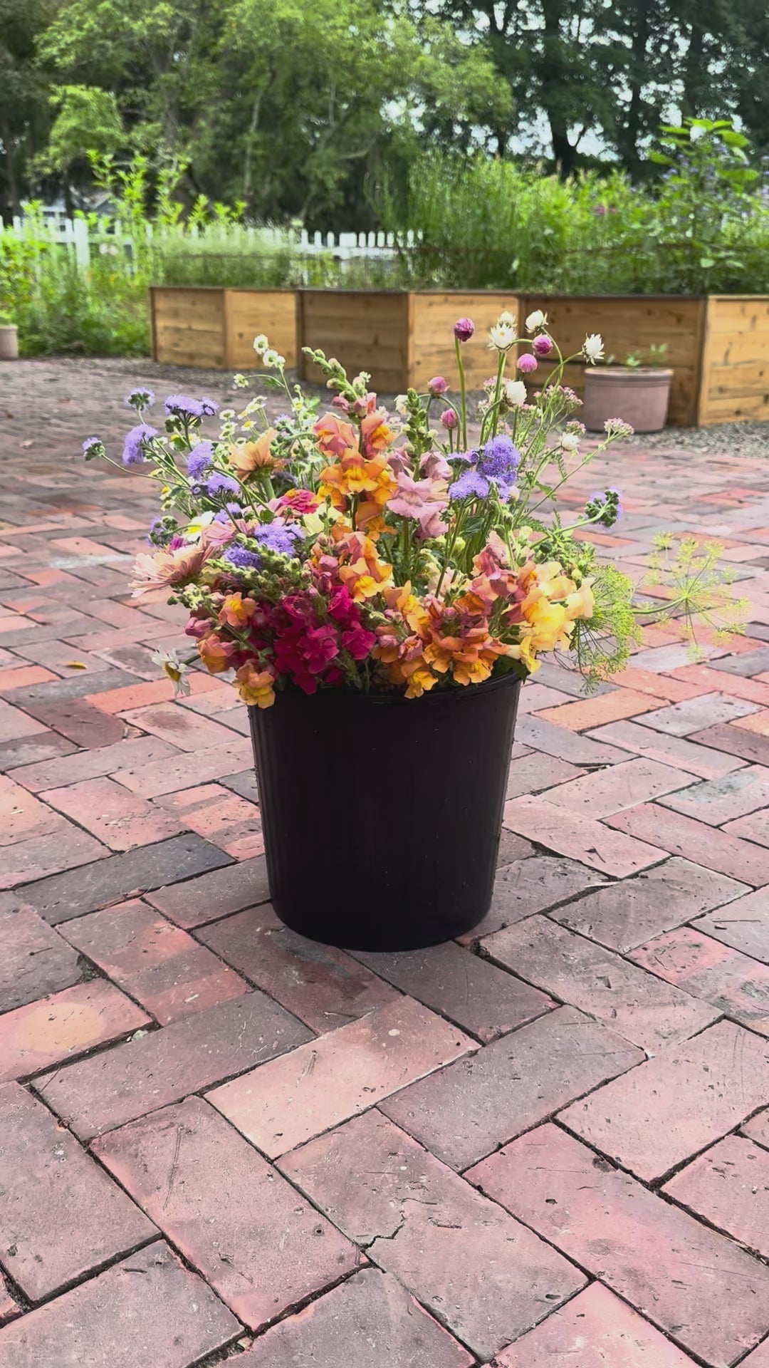 Bulk Flower Bucket